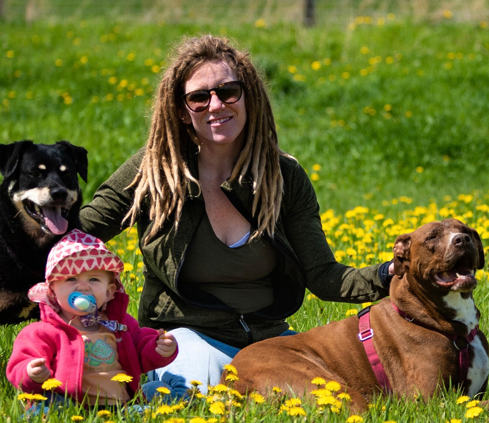 Lindsay with daughter and 2 dogs in field of dandelions